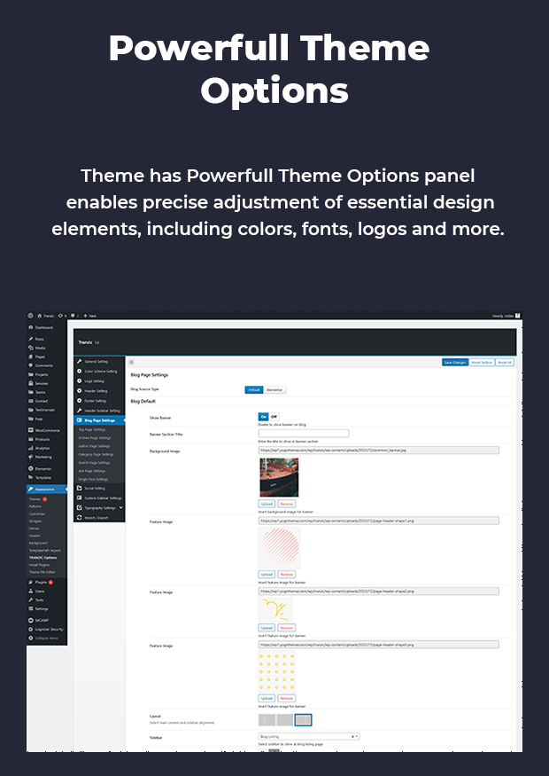 Themeoptions Available
